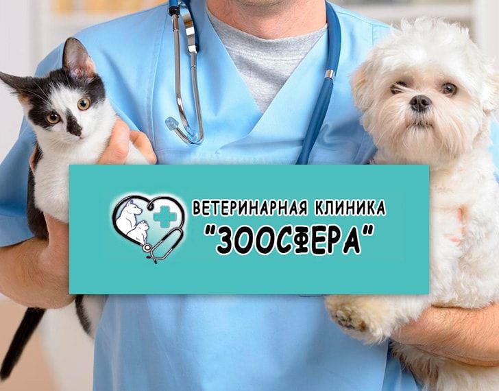 Ветеринарная клиника «Зоосфера» Ветеринарная клиника «Зоосфера»